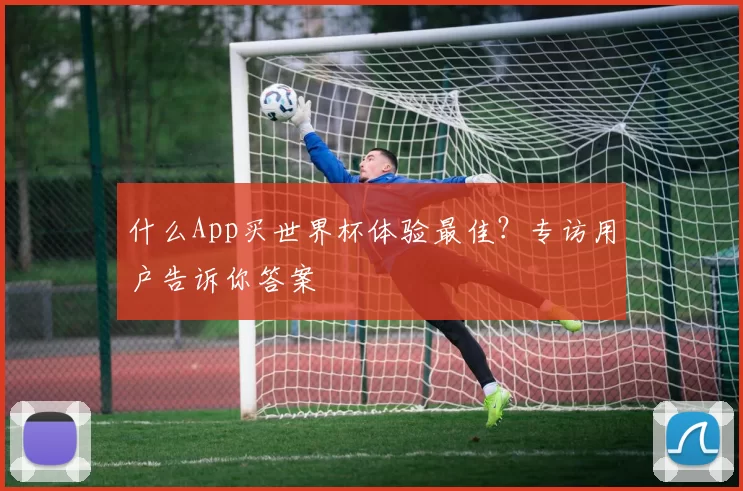 什么App买世界杯体验最佳?专访用户告诉你答案