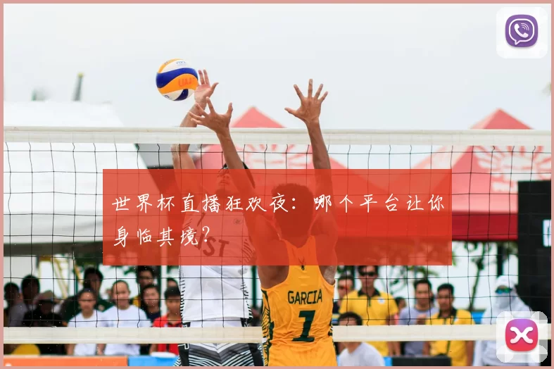 世界杯直播狂欢夜:哪个平台让你身临其境?