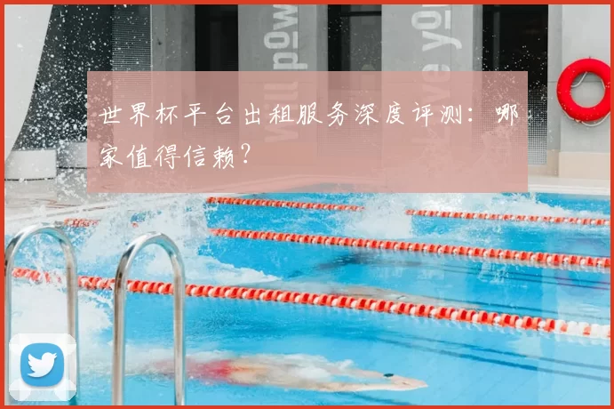 世界杯平台出租服务深度评测：哪家值得信赖？