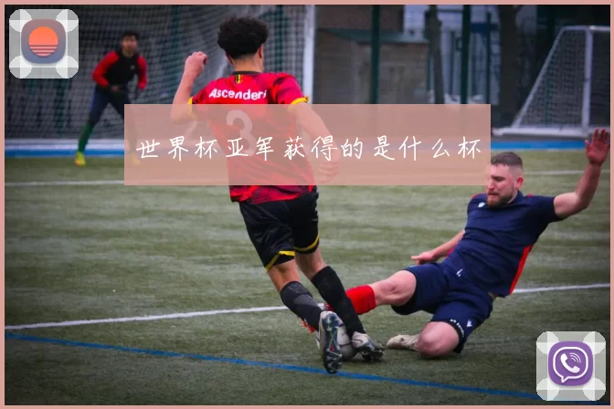 世界杯亚军获得的是什么杯