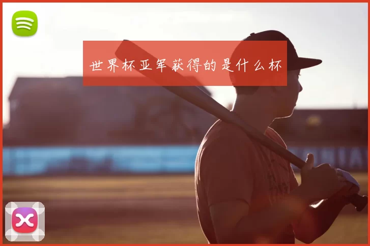 世界杯亚军获得的是什么杯