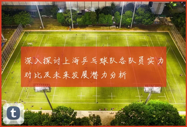 深入探讨上海乒乓球队各队员实力对比及未来发展潜力分析
