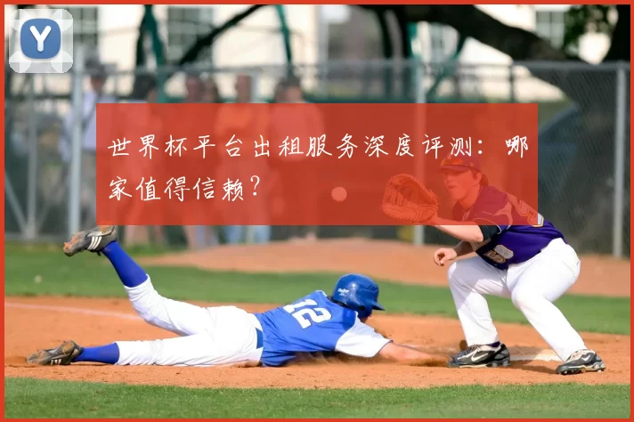 世界杯平台出租服务深度评测:哪家值得信赖?