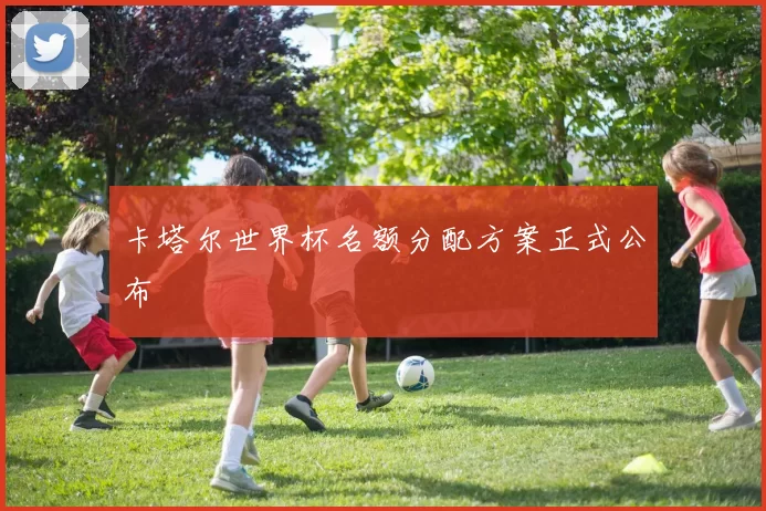 卡塔尔世界杯名额分配方案正式公布