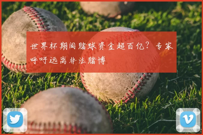 世界杯期间赌球资金超百亿？专家呼吁远离非法赌博